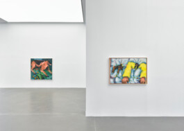 Conny Maier